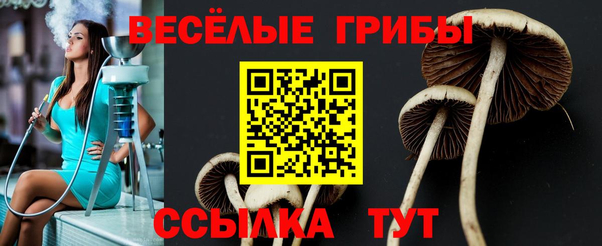 Мирный  Псилоцибиновые грибы MAGIC MUSHROOMS  Вход с VPN 