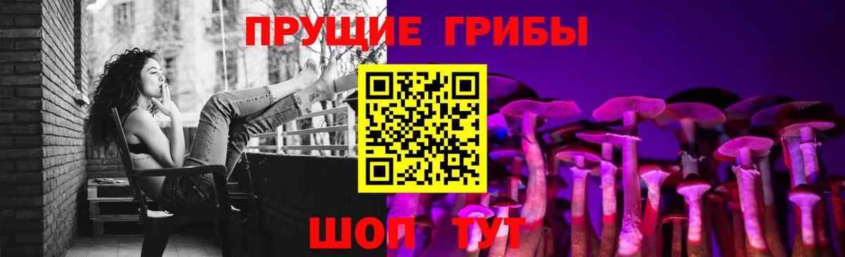 Псилоцибиновые грибы Cubensis Мирный