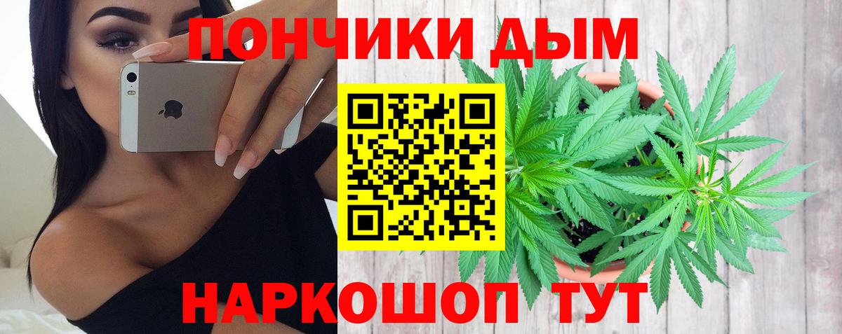 Бошки марихуана конопля Мирный